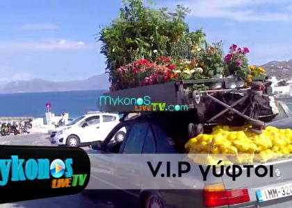 oi-V-I-P-guftoi-pou-trabiksan-ta-blemmata-stin-mukono-img