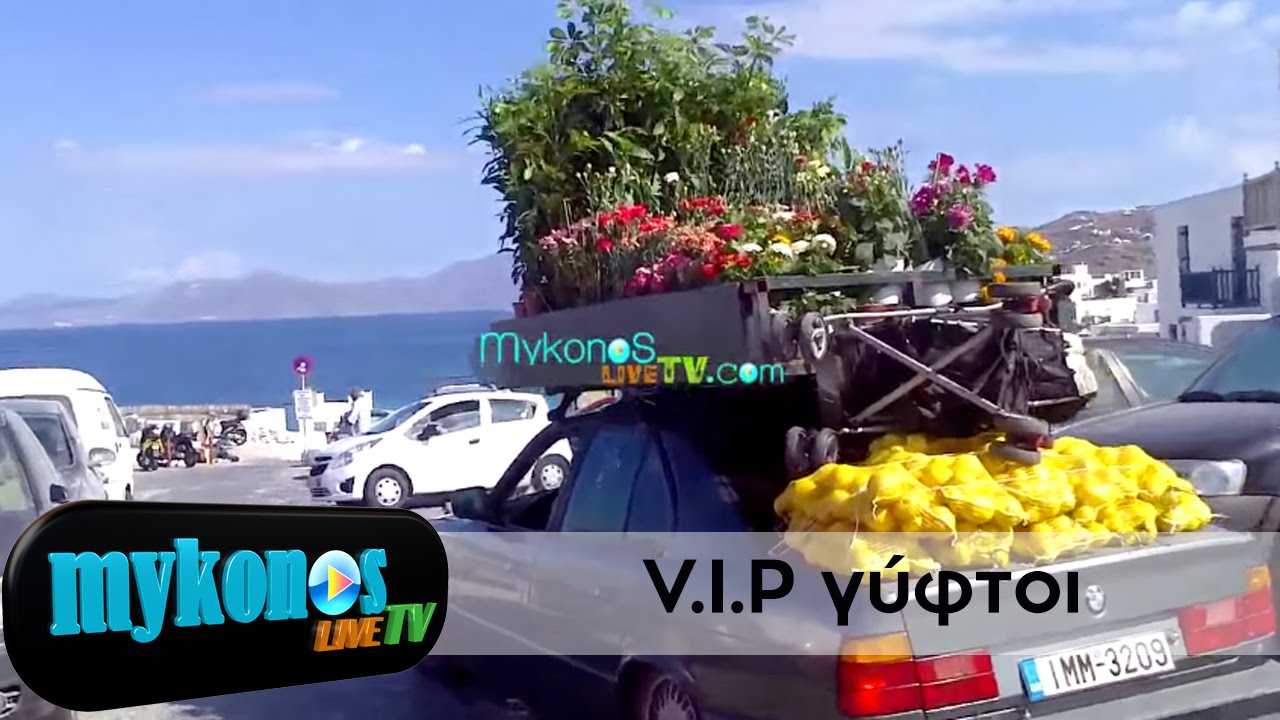 oi-V-I-P-guftoi-pou-trabiksan-ta-blemmata-stin-mukono-img