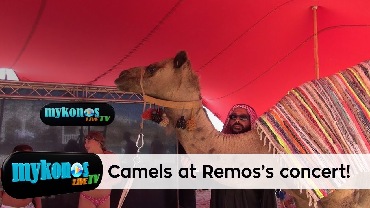 mexri-kai-kamiles-eferan-gia-tin-sunaulia-tou-remou-me-tous-anatolites-tragoudistes-apopse-sto-Nammos-img