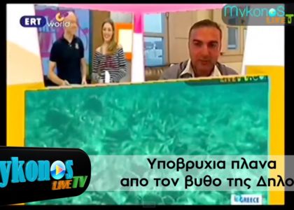 upobruxia-plana-apo-ton-butho-tis-dilou-I-Underwater-Shoots-from-Dilos-img