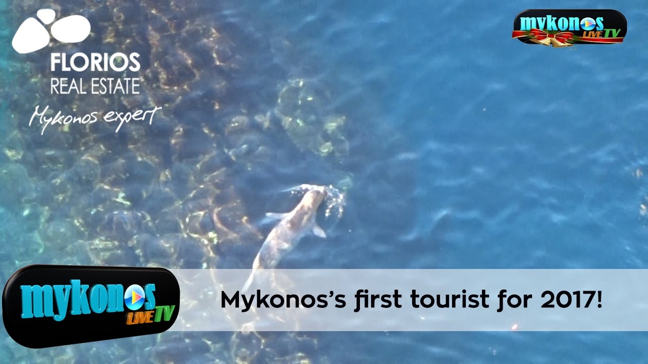 deite-tin-prwti-touristria-tis-mukonou-gia-to-2017-img