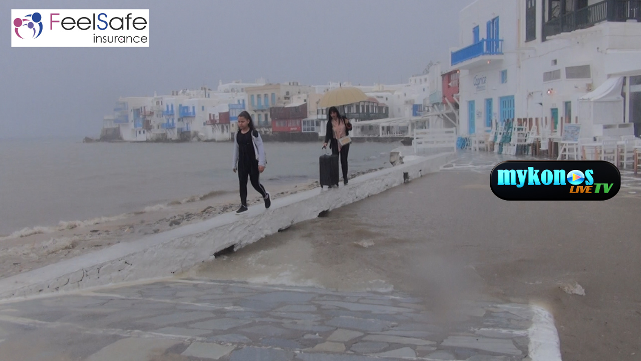 Sequence 01.Still001