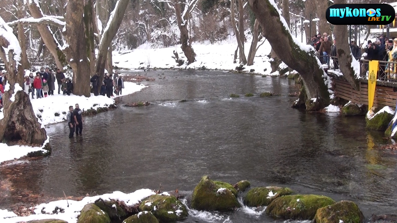 Sequence 01.Still001