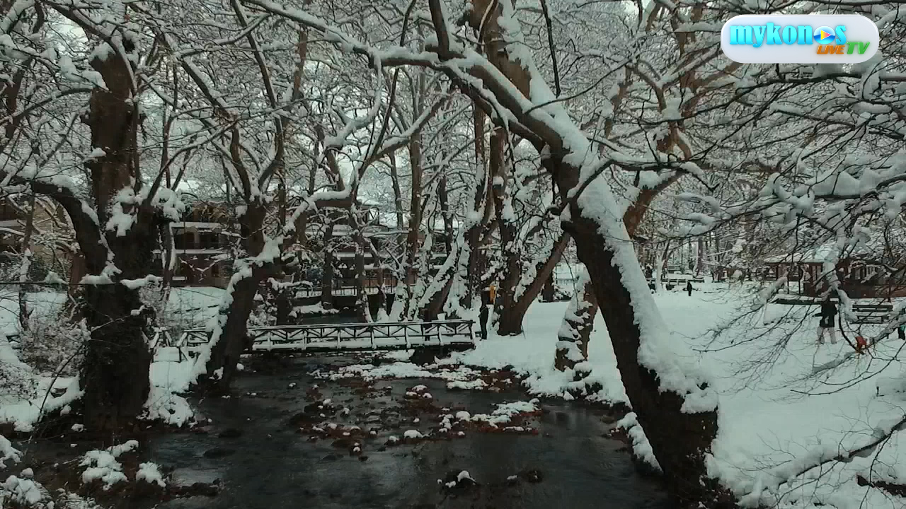 Sequence 01.Still001