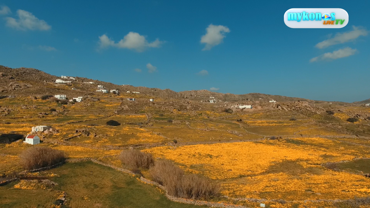 Sequence 01.Still001