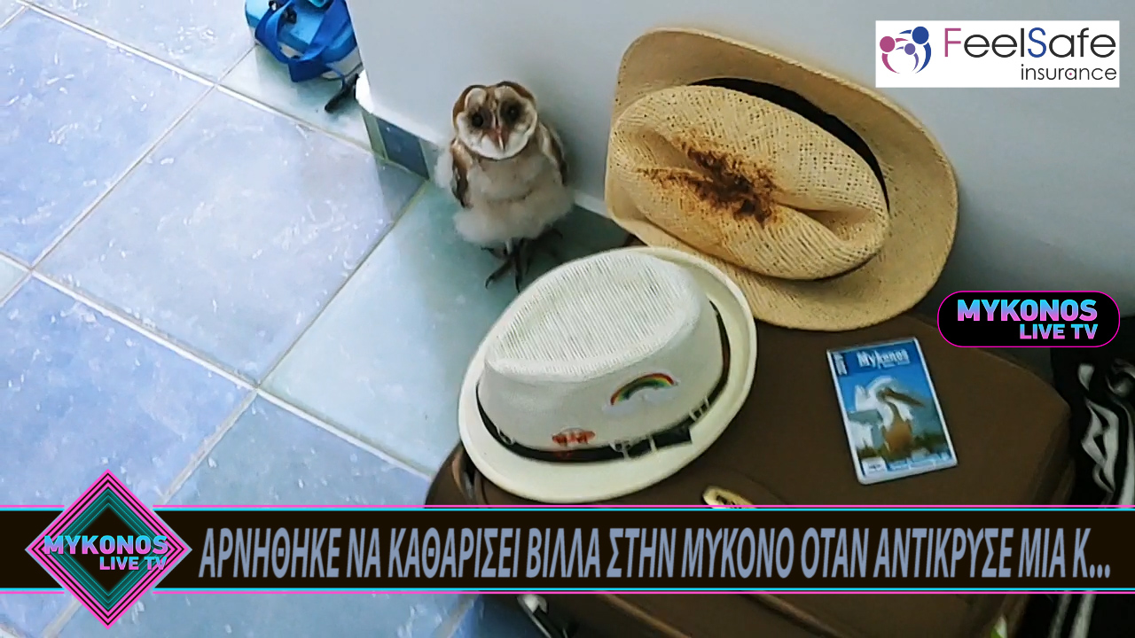 Sequence 01.Still001