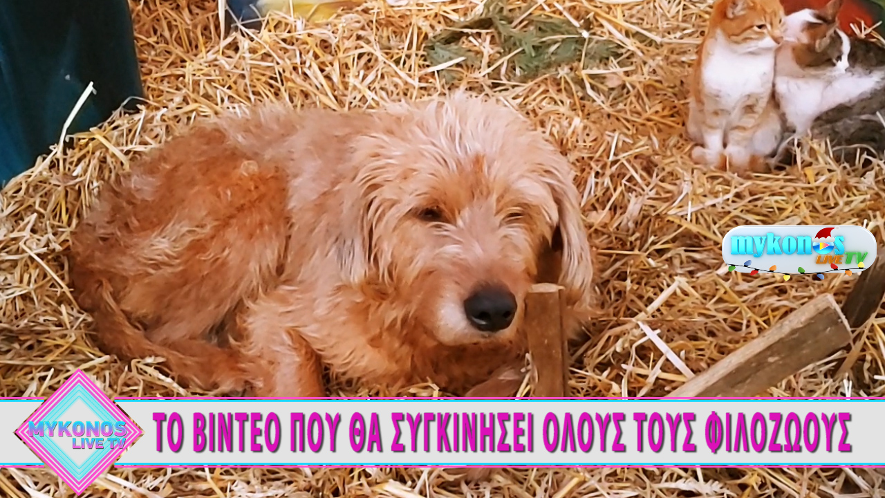 Sequence 01.Still001