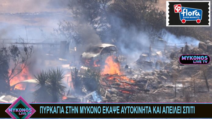 Sequence 01.00_00_00_00.Still001