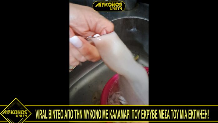 Sequence 01.00_00_05_19.Still001