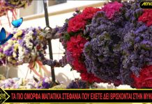 TA ΠΙΟ ΟΜΟΡΦΑ ΜΑΓΙΑΤΙΚΑ ΣΤΕΦΑΝΙΑ ΠΟΥ ΕΧΕΤΕ ΔΕΙ ΒΡΙΣΚΟΝΤΑΙ ΣΤΗΝ ΜΥΚΟΝΟ!