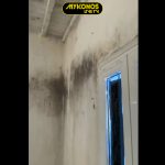 Sequence 01.00_00_15_29.Still001