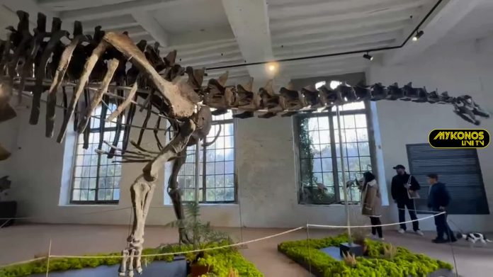 Sequence 01.00_00_10_12.Still001