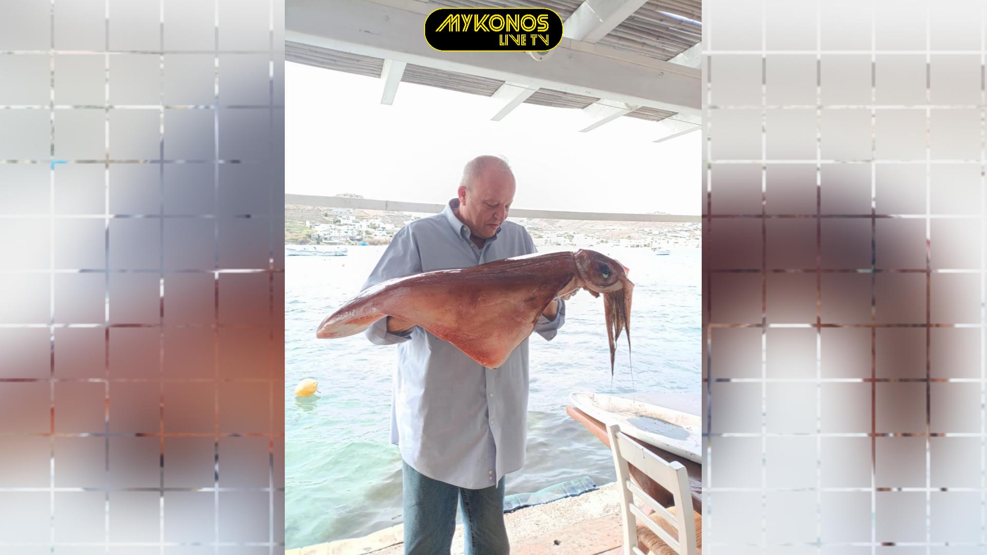 ΚΡΑΚΕΝ ΣΤΗΝ ΜΥΚΟΝΟ! ΤΑ ΔΥΟ ΚΑΛΑΜΑΡΙΑ-ΓΙΓΑΝΤΕΣ ΠΟΥ ΕΜΦΑΝΙΣΤΗΚΑΝ ΣΤΟΝ ΟΡΝΟ